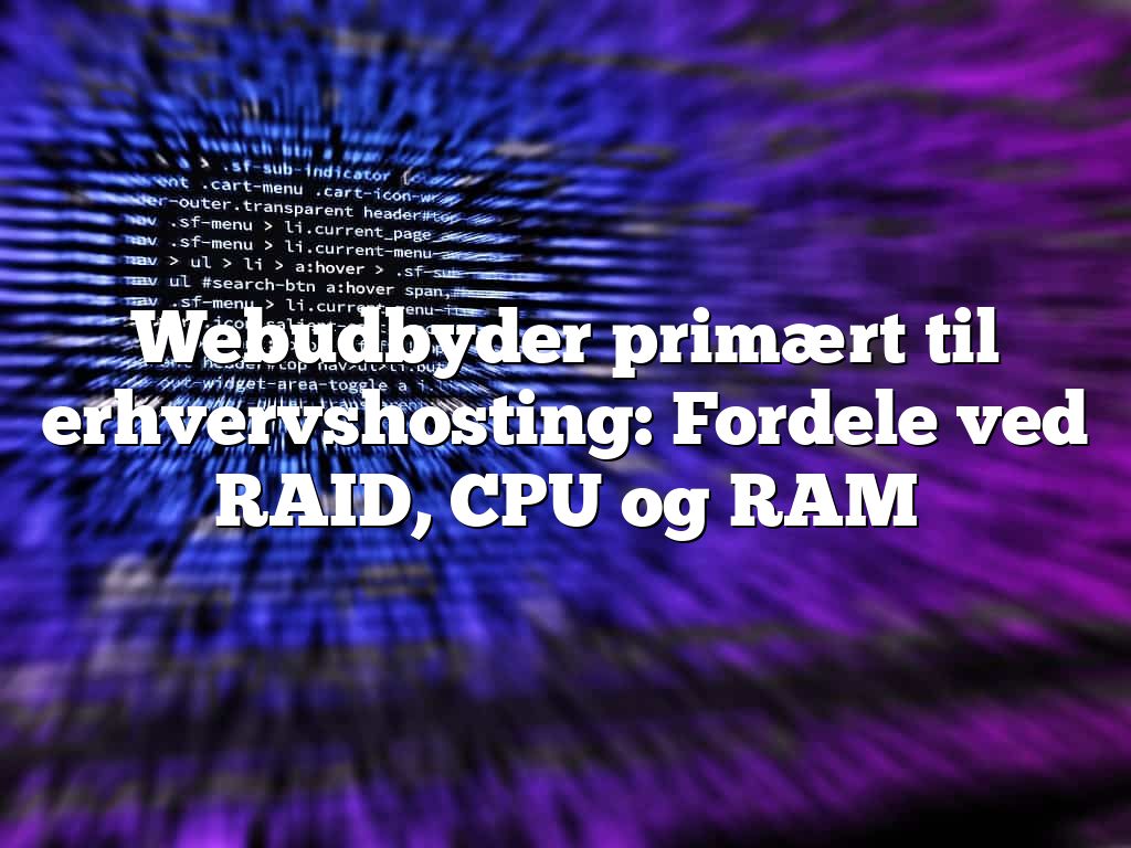 Webudbyder primært til erhvervshosting: Fordele ved RAID, CPU og RAM